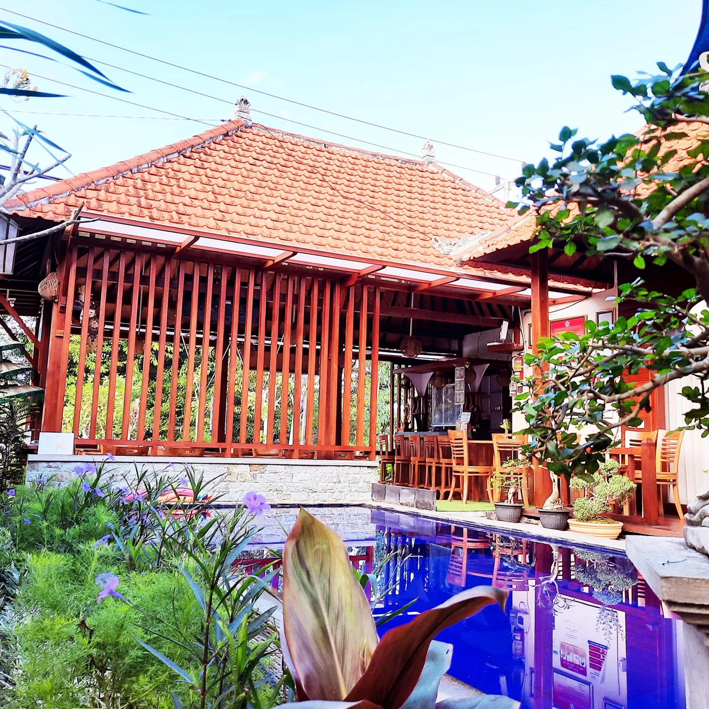 The garden pool at Wait Garden