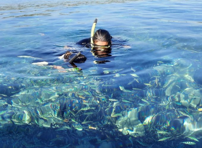 Your Travelling Solution in Nusa Penida
