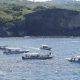 Sharing Snorkeling in Nusa penida