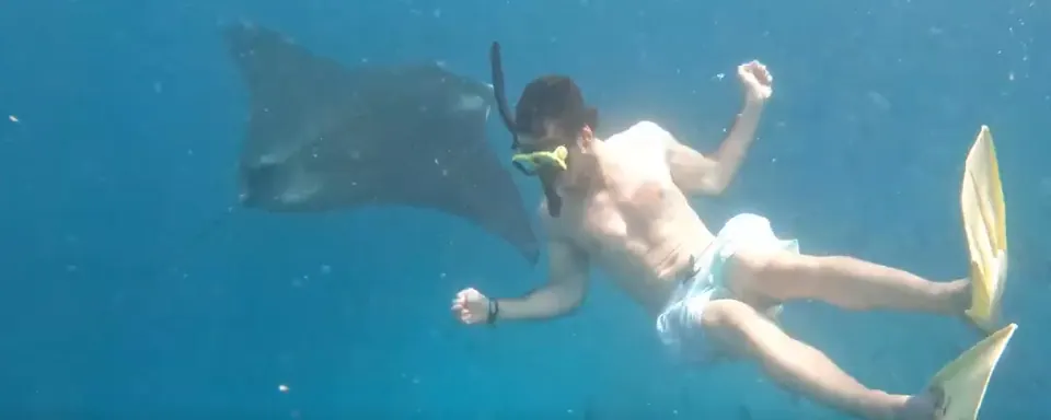 Manta season, and how to time it