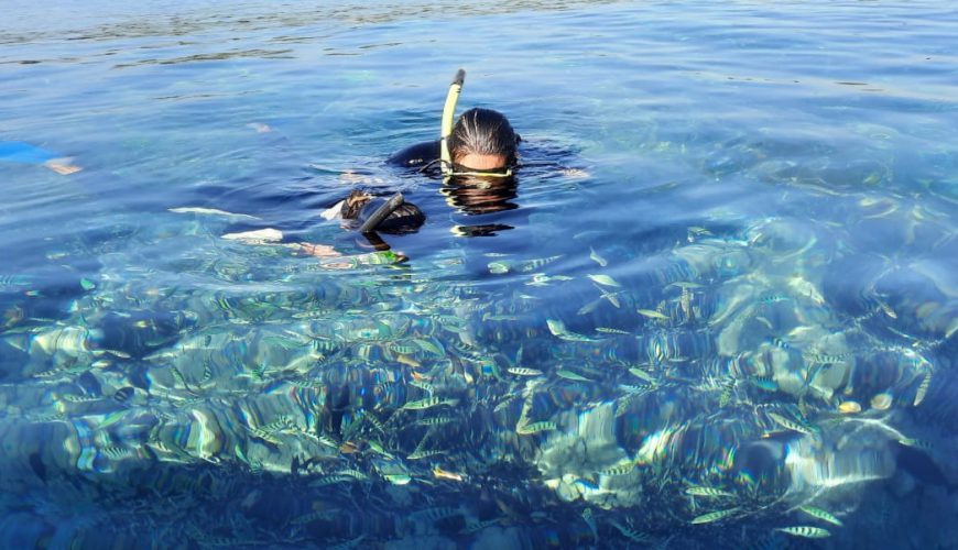 Nusa Penida Snorkeling