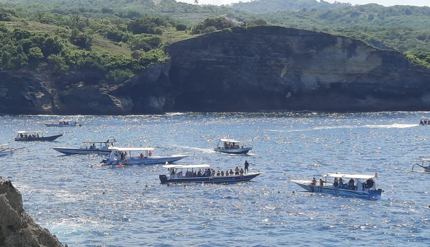 Sharing Snorkeling in Nusa penida