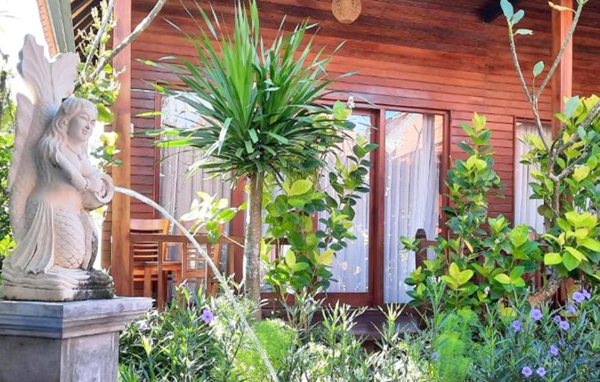 Deluxe Pool View Room