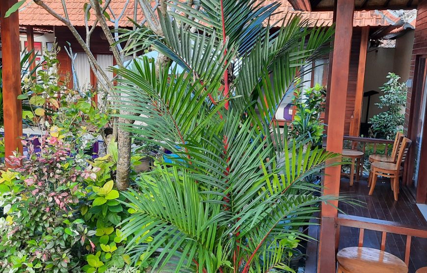 Nusa Penida Accommodation