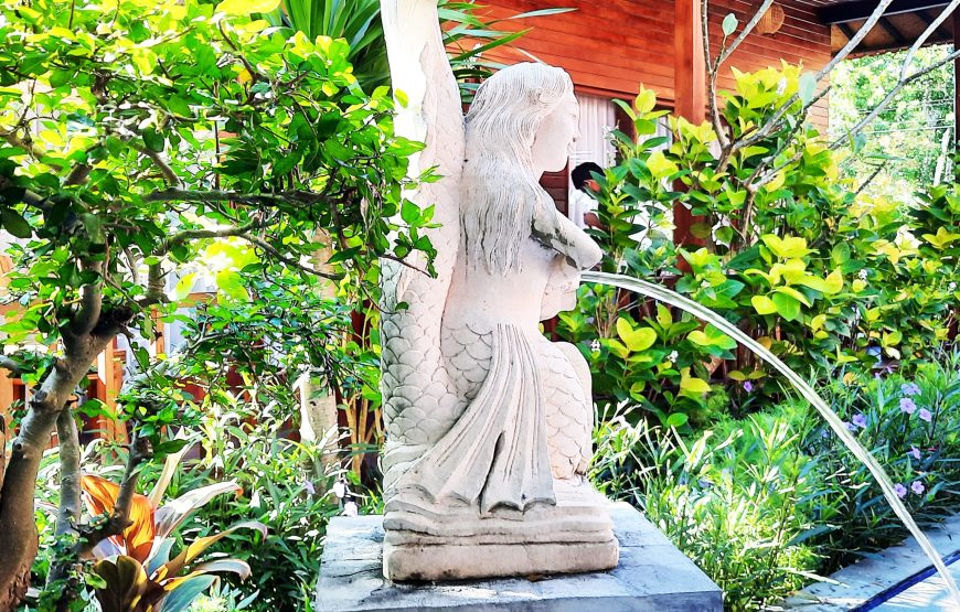 Nusa Penida Accommodation