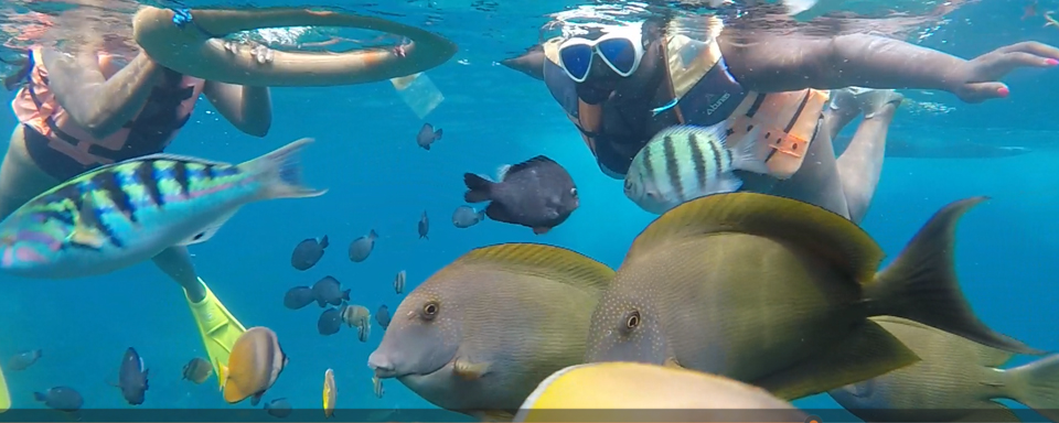 Day 02 : Breakfast at hotel  and snorkeling ( B ).